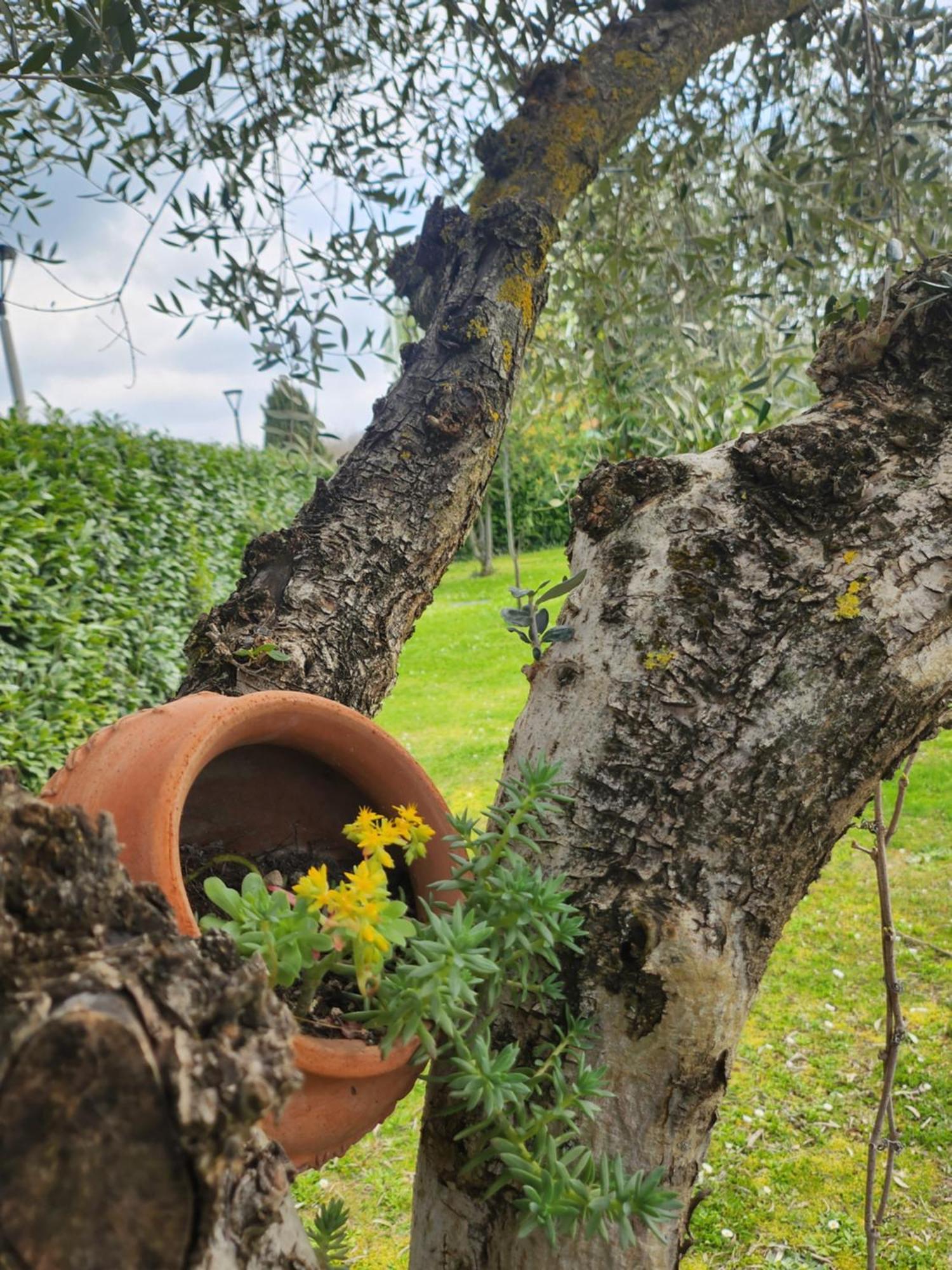 B&B Villa Sabrina Arezzo Exterior photo