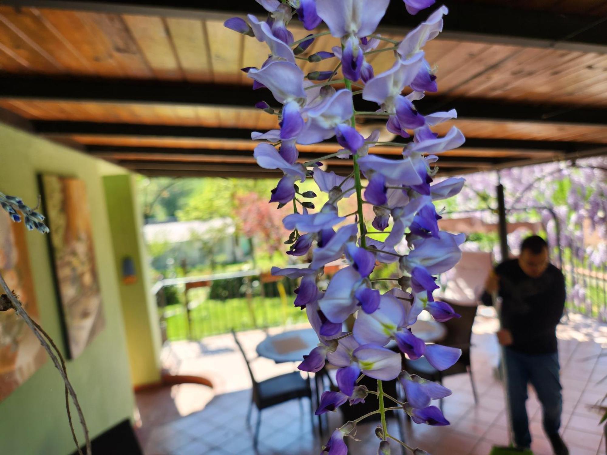 B&B Villa Sabrina Arezzo Exterior photo